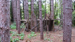 Pomeroy-Meadow-shelter